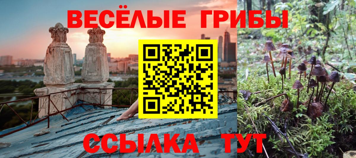 Галлюциногенные грибы Psilocybe  Вход с VPN  закладки  Видное 